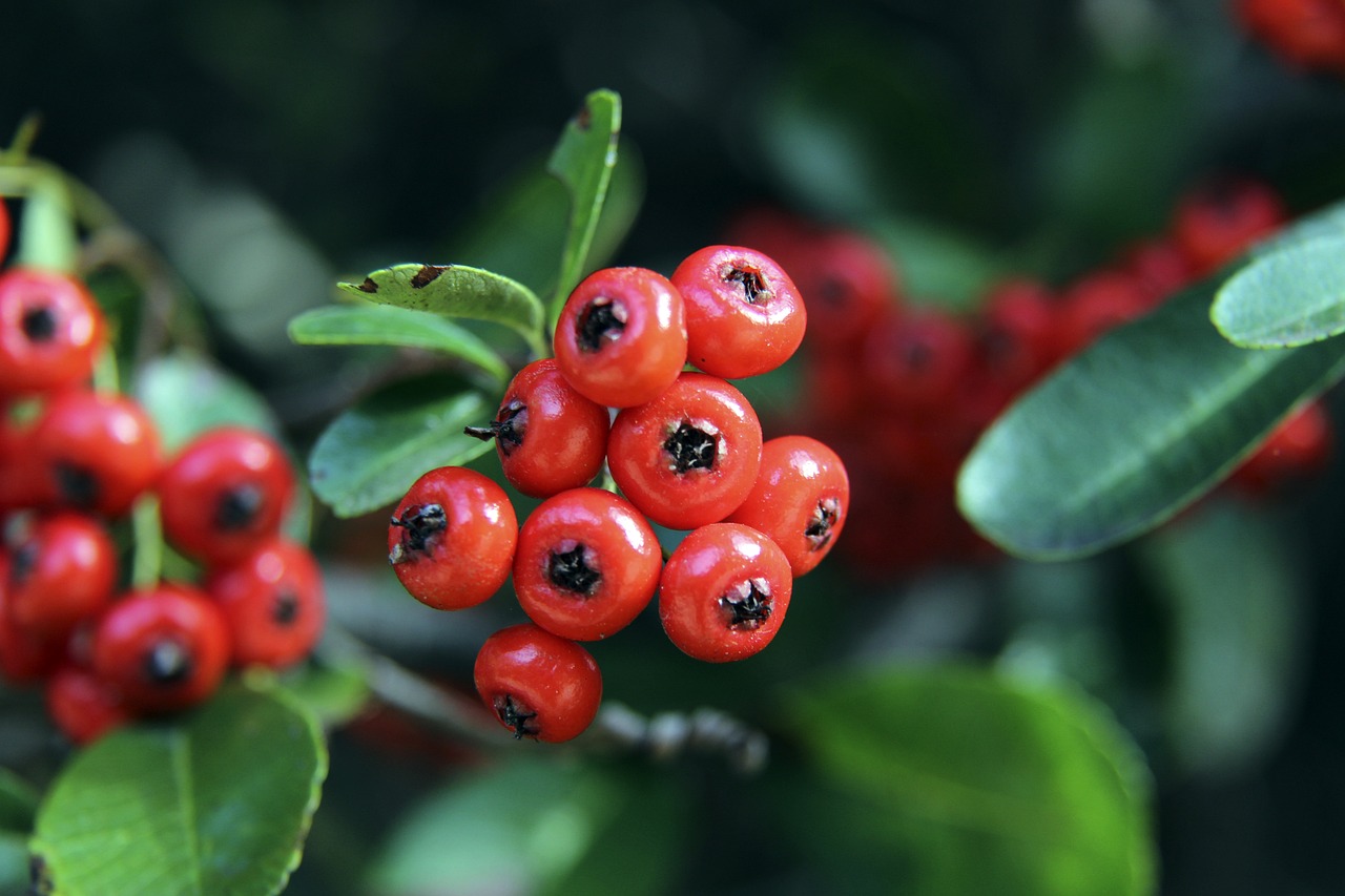 提到當今許 提到當今許