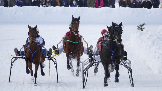 最终交出 最终交出