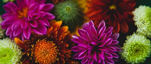 信念与执行 信念与执行