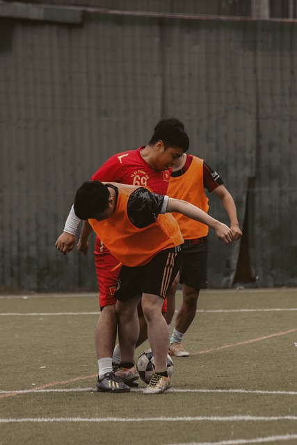 政府的运作 政府的运作