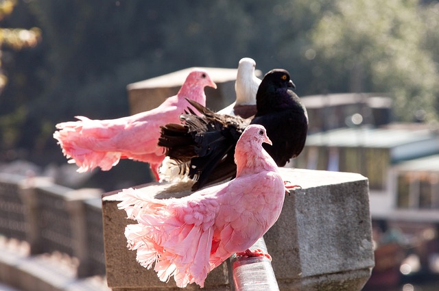 总结这样的 总结这样的