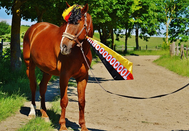 技術層面具 技術層面具